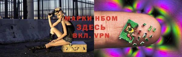 гидра Белокуриха