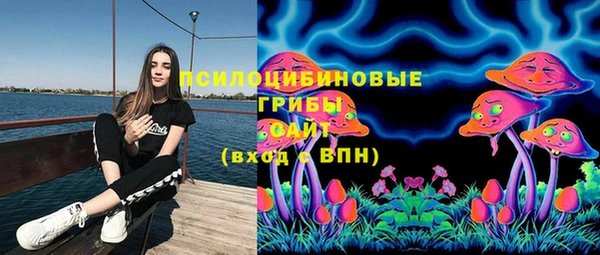гидра Белокуриха