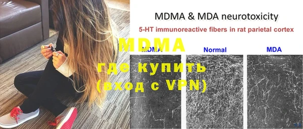 гидра Белокуриха