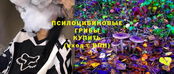 гидра Белокуриха