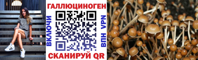 Купить где  Туран  Псилоцибиновые грибы MAGIC MUSHROOMS 