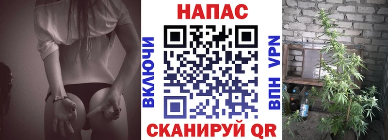 Каннабис план  Купить закладки  Туран 